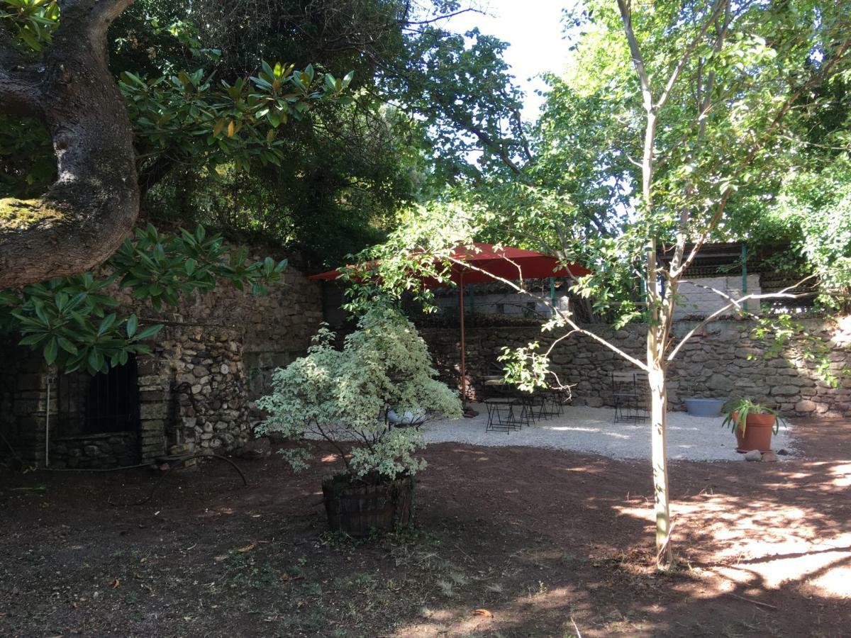 Domaine De Brousson Bed & Breakfast La Tour-sur-Orb Екстериор снимка