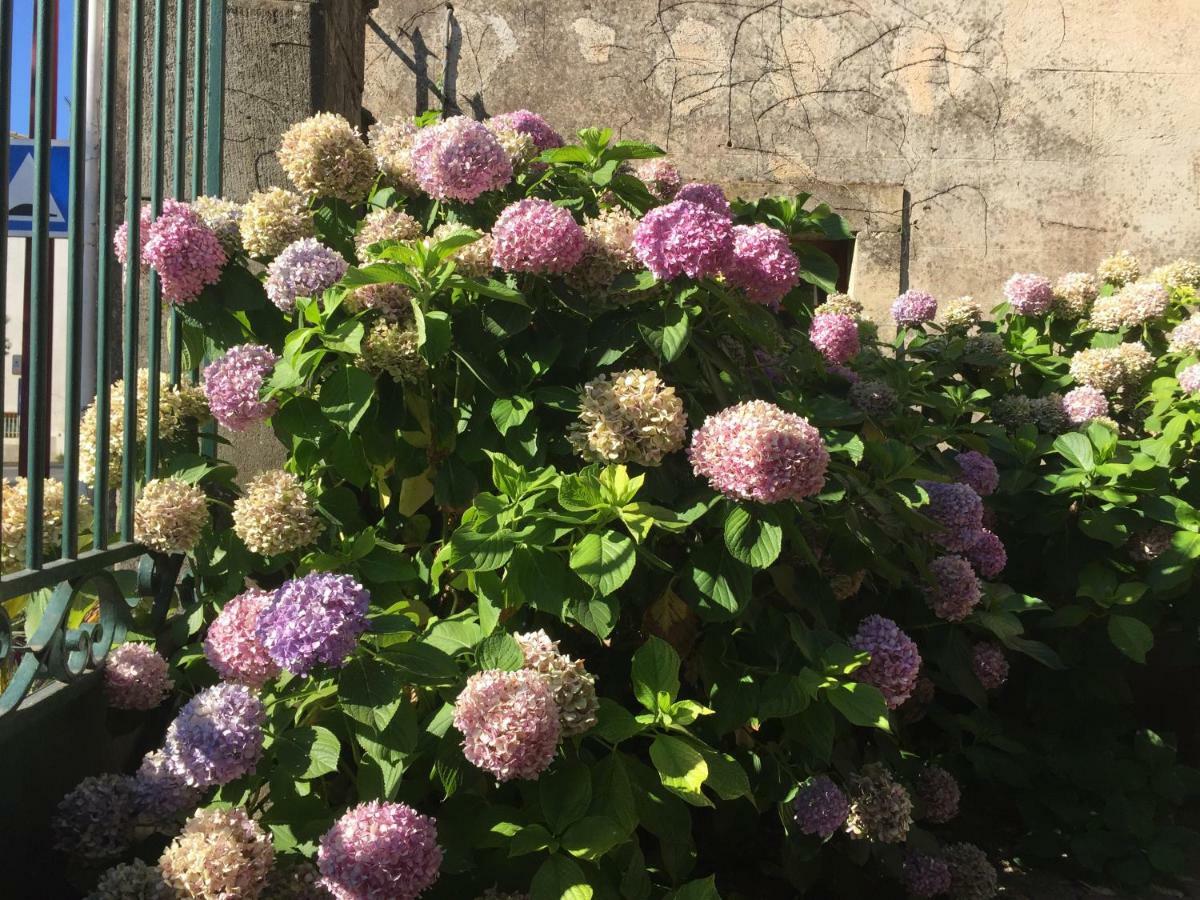 Domaine De Brousson Bed & Breakfast La Tour-sur-Orb Екстериор снимка
